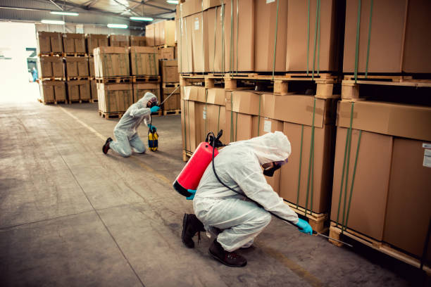 Best Affordable Exterminators  in Grasonville, MD